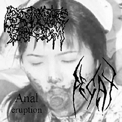  Anal Eruption