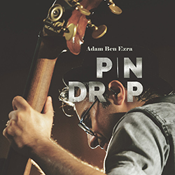  Pin Drop