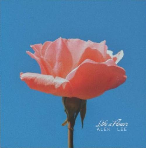 Like A Flower