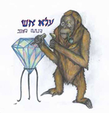  הנתח הטוב