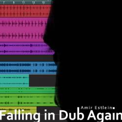  Falling In Dub Again