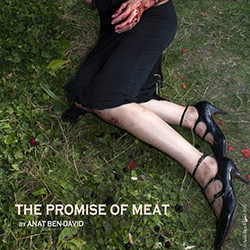  The Promise of Meat