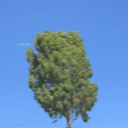  זמן אוויר