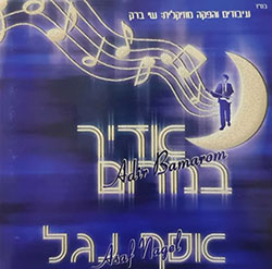  אדיר במרום