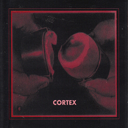  Cortex