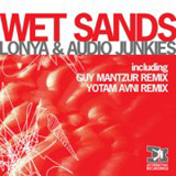  Wet Sands