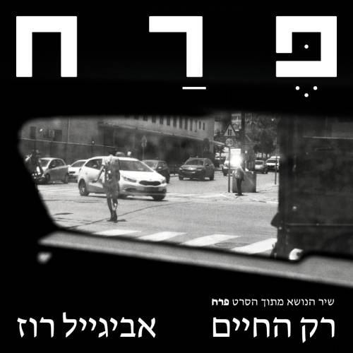  רק החיים