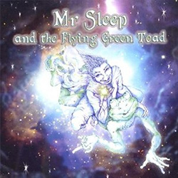  Mr Sleep and the Flying Green Toad