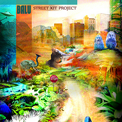  Street Kit Project