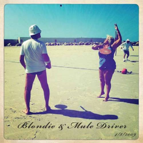  בלונדי ומיול דרייבר