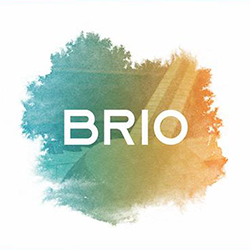  Brio