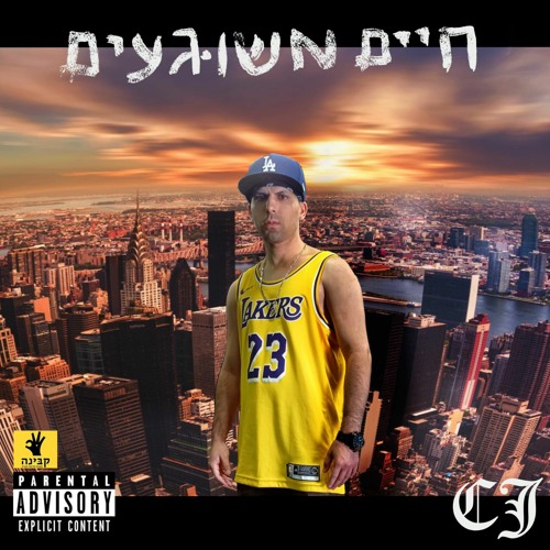 חיים משוגעים