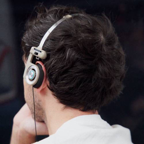  הכלב הכי כועס בעולם