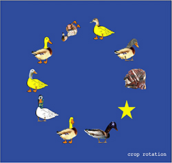  EU