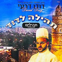  תהילה לדוד