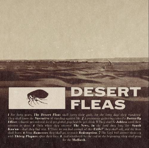Desert Fleas