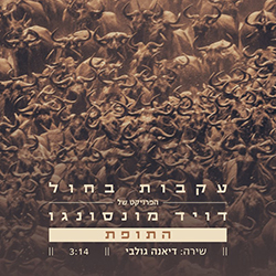  התופת