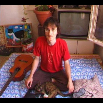  One Cat
