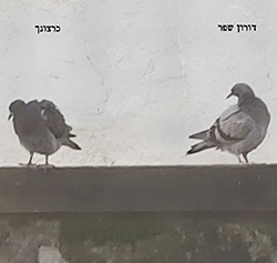  כרצונך