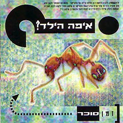  זמן סוכר