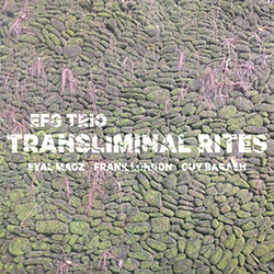  Transliminal Rites