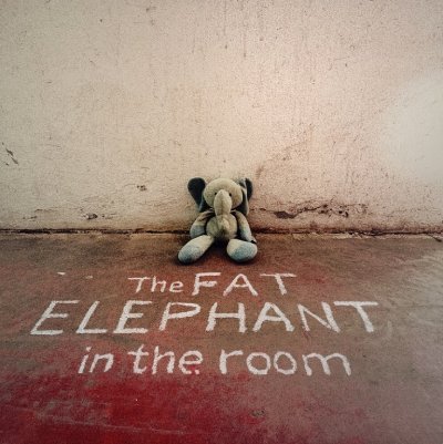  The Fat Elephant in The Room