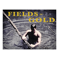  Fields of Gold