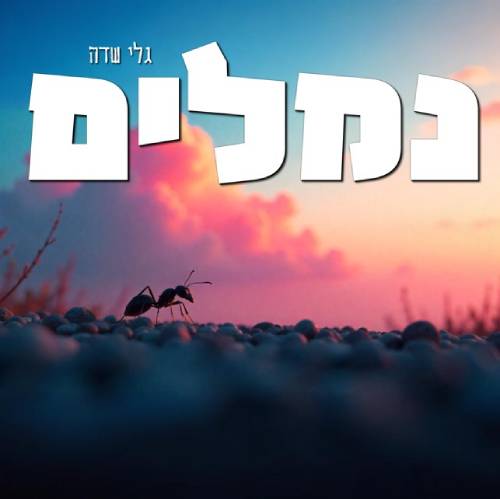  נמלים