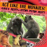  Act Like The Monkies