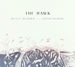  The Hawk