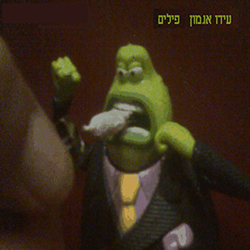  פילים