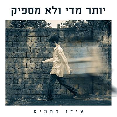 יותר מדי ולא מספיק