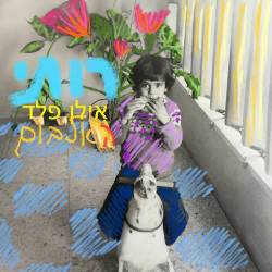  רותי