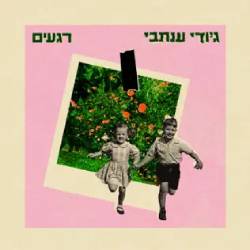  רגעים