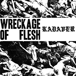  Wreckage Of Flesh