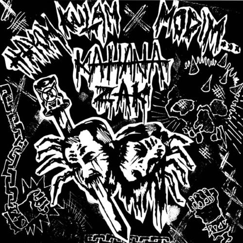  היום כולם מודים...כהנא זק