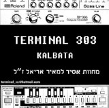  Terminal 303