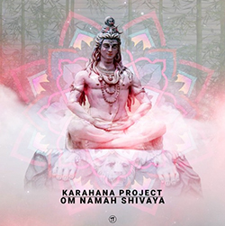  Om Namah Shivaya