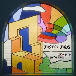  צמות קלועות