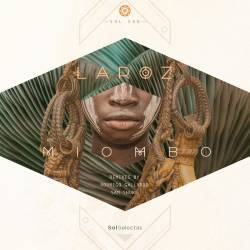  Miombo