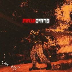  פרחים ונגחות