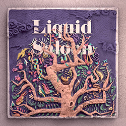  Liquid Saloon