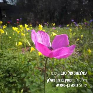  עולמות של טוב