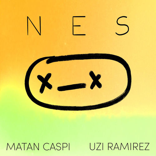  NES