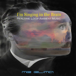  I'm Singing in The Brain