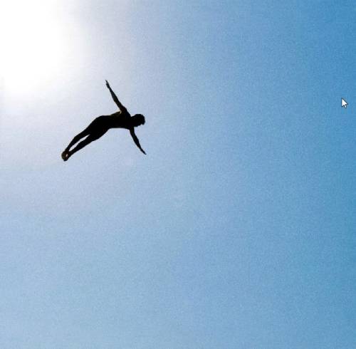  ציפור כחולה