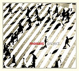  Mosaic Project