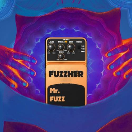  Fuzzher