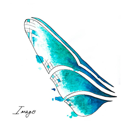  Imago