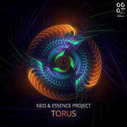  Torus